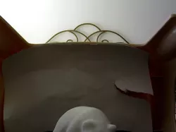 Bear without its fish