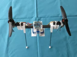 BiCopter