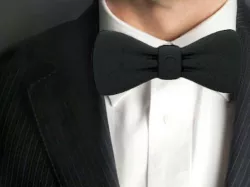 Bowie Bowtie