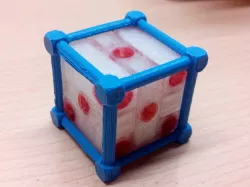 Cage box for D6-puzzle