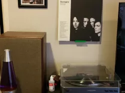 Command Strip "Now Playing" Record Display