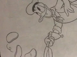 Donald Flips no back!