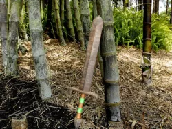 Link's Wooden Sword