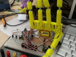 Multiplexed Prosthetic Devices