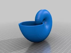Nautilus Shell