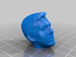 Nick Head Scan