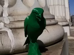 Pigeon Scarer - Hawk
