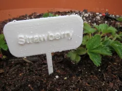 Plant Label Stake