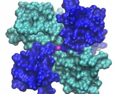 Potassium Channel KcsA