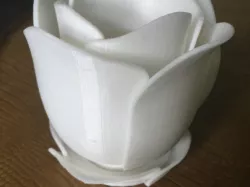 Rose Flower Pot