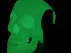 Teo's Skull by Babanatsas Theoharis