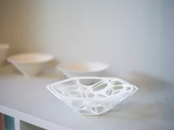 Voronoi Hexagon Dish