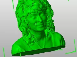 Woman bust