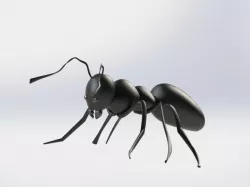 An Ant 3D Model