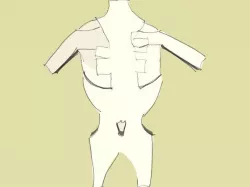 BODY
