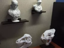 Fabric Cubicle Wall Shelf (Long Version)
