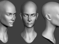 Female Head sculpt