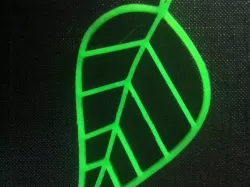 leaf