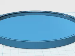 tin can lid
