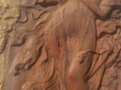 woman with birds