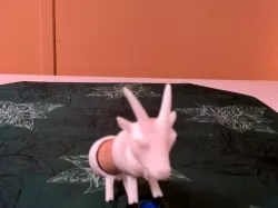 Bigger Better Cork Goat