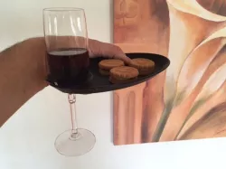 Improved Party Plate - tested on my party with guests