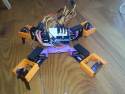 Quadruped