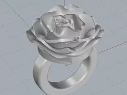 Rose Ring