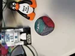 SFW IT die
