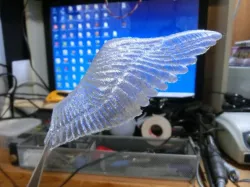 wing