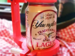 3D Printed Can Stein