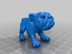Bull Dog