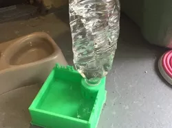 Cat water station