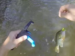 Fully Printable Fishing Rod