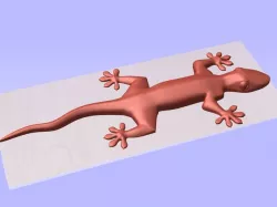 Gecko