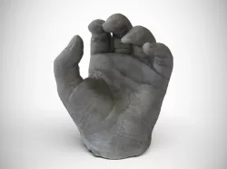 Hollies hands 3D scanned