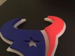 Houston Texans Logo