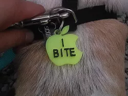 "i BITE"   Warning Dog Tag