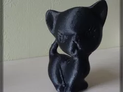 Kitten