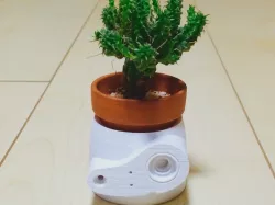Laputa Robot Pot