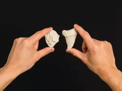 Project: Making Fossils with Sculptris