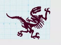Raptor