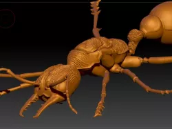 Red Bull Ant