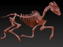 Skeleton Horse