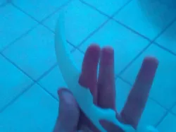 Karambit Raptor