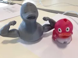 Muscle Duck