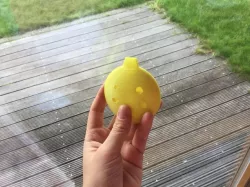 Ocarina