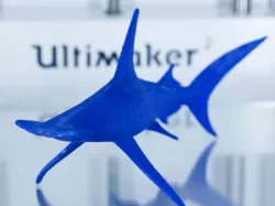 Organic Hammerhead Shark