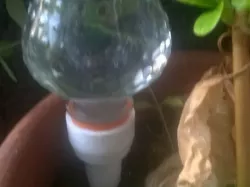 plant feeder