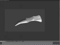 Shofar Horn